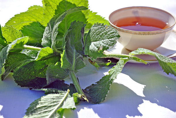 Gemeinschaftspraxis Wallerfangen: Naturheilverfahren